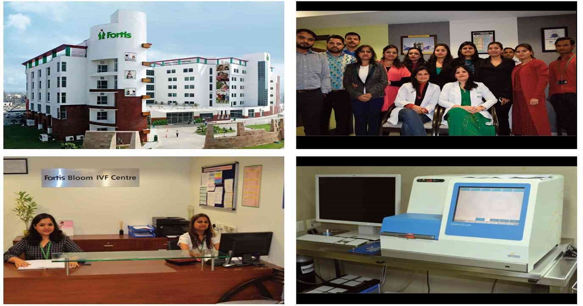 Bloom IVF Centre